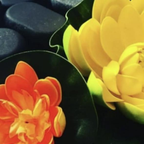 Alinya Thai Spa Logo